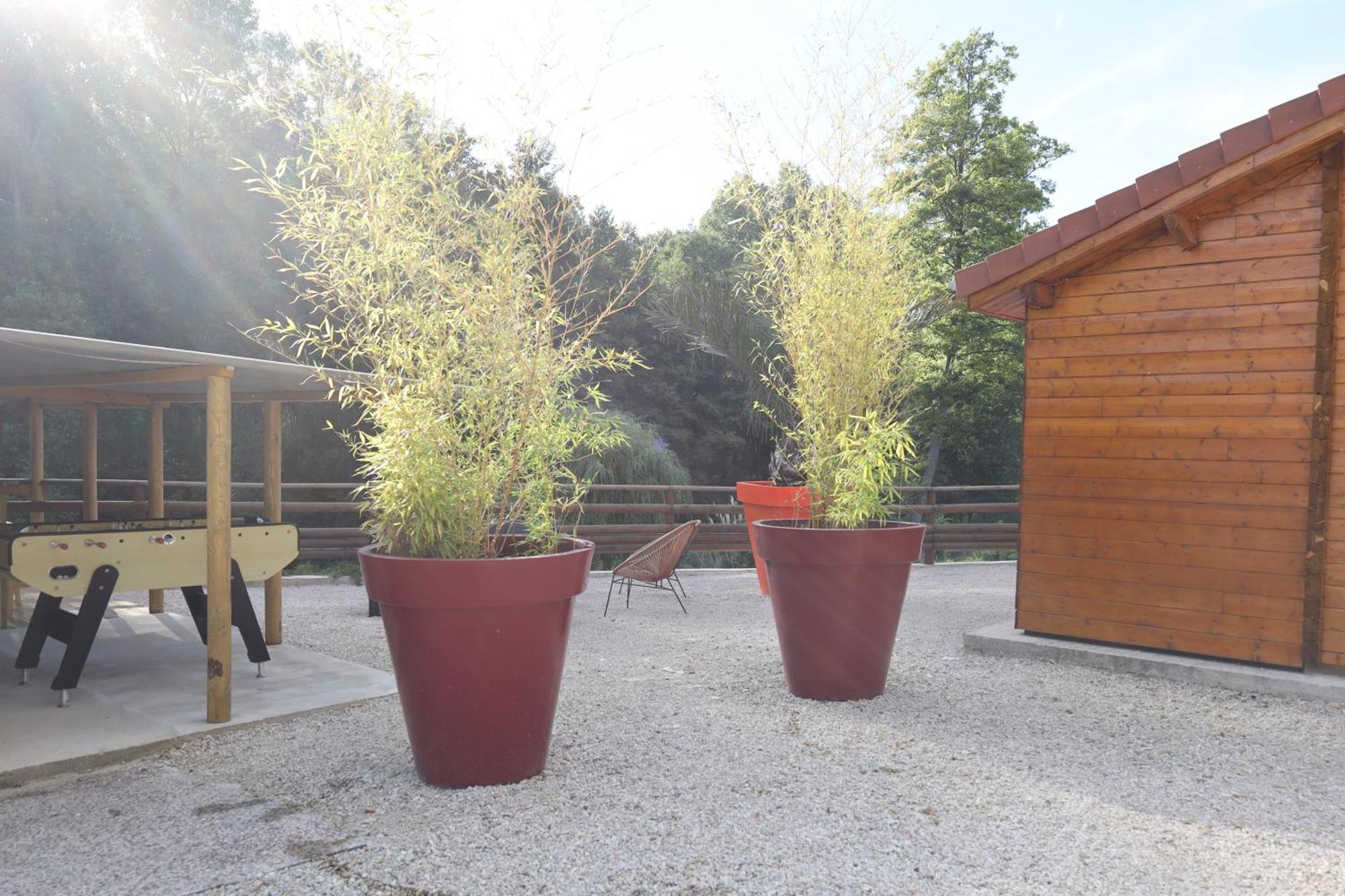 Les Chalets Du Marais Saint-Pierre-Aigle Exterior photo